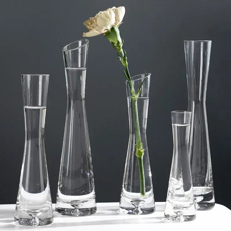 Small clear glass vase with angled opening for hydroponic plants and cuttings