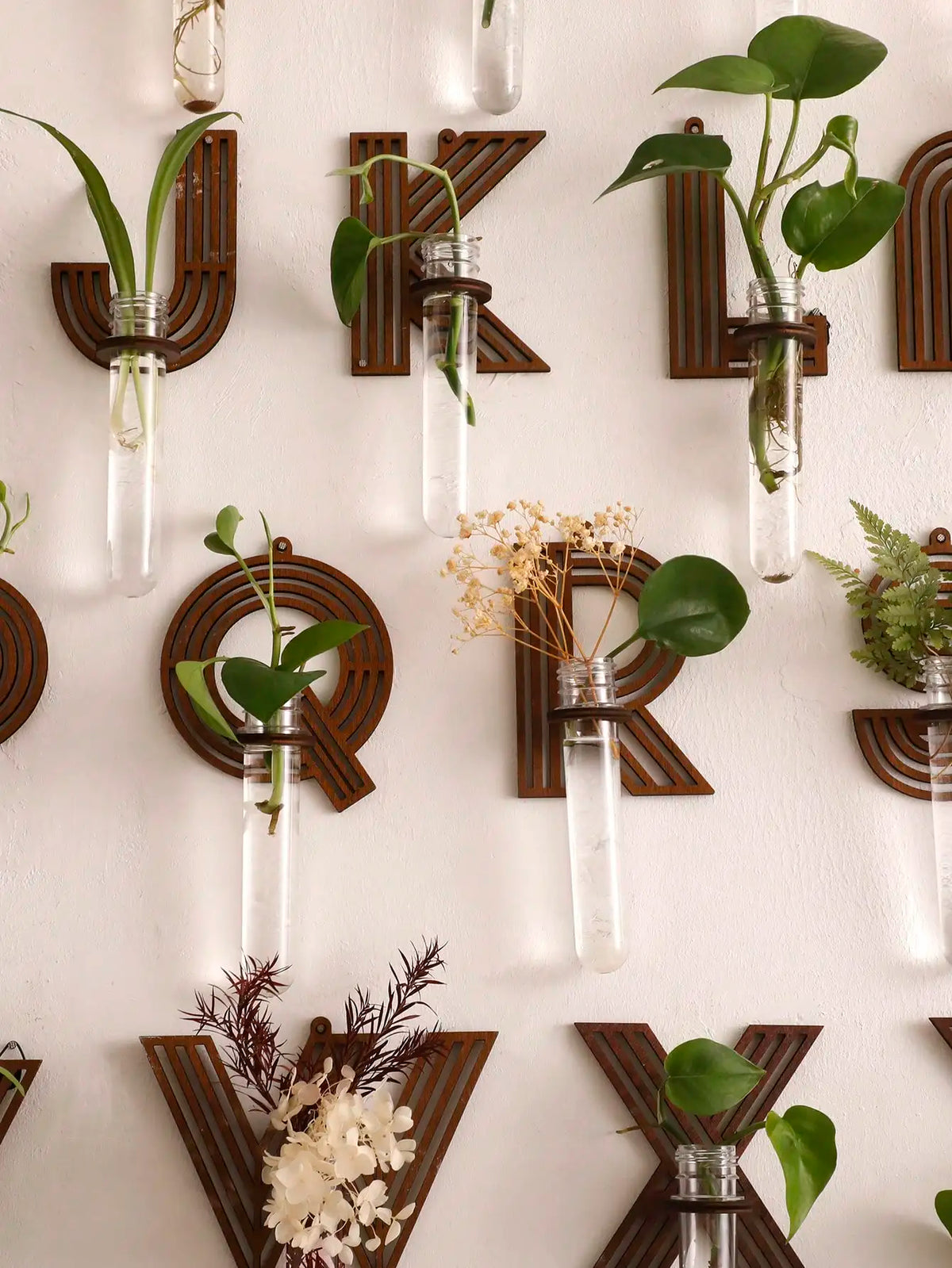 Wooden A-Z letter propagation station on desk with hydroponic water cuttings