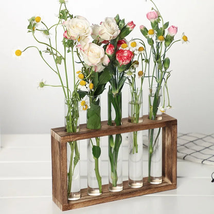 Close-up of glass tubes holding herb cuttings in natural wooden stand