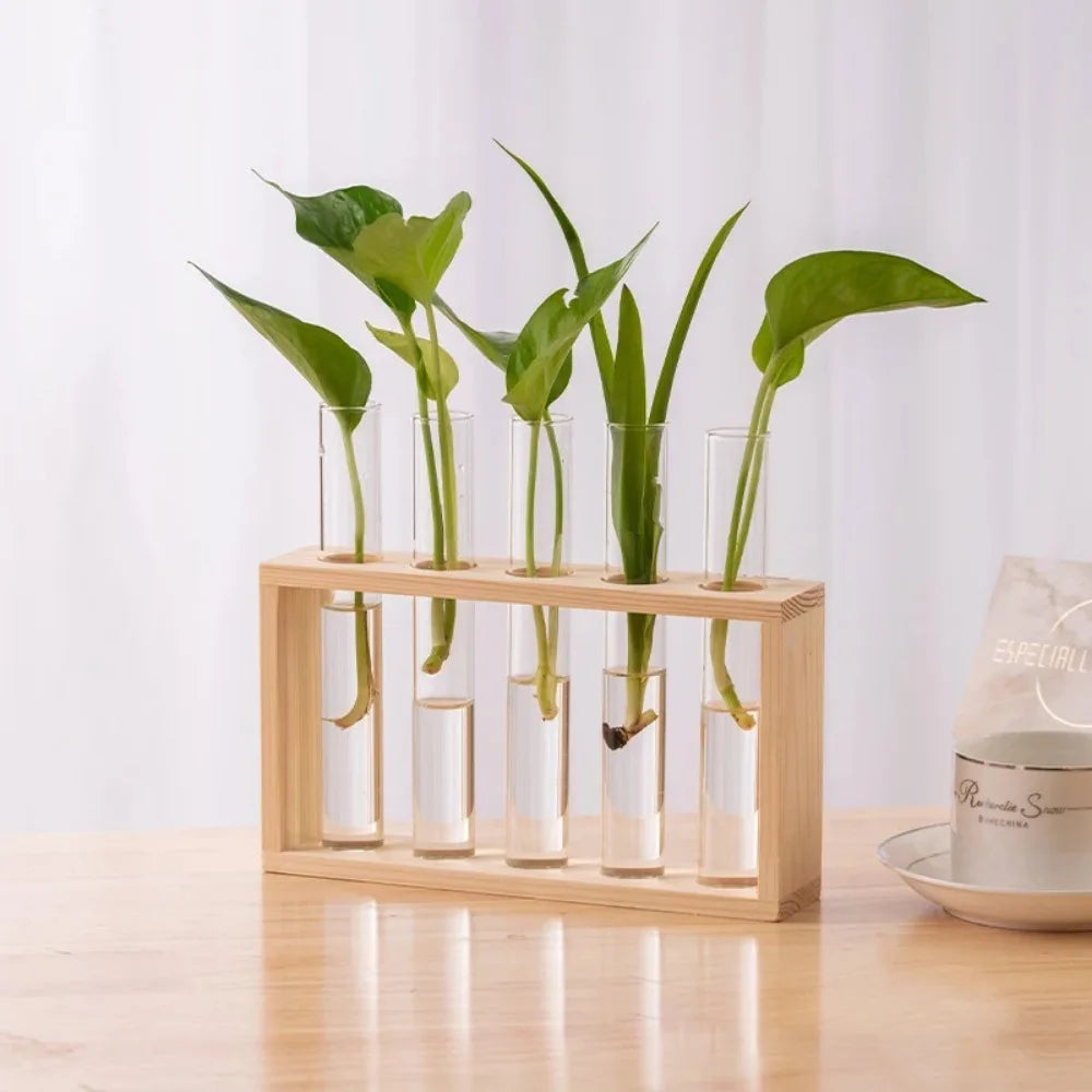 Wooden wall glass tube propagation planter as kitchen herb garden display