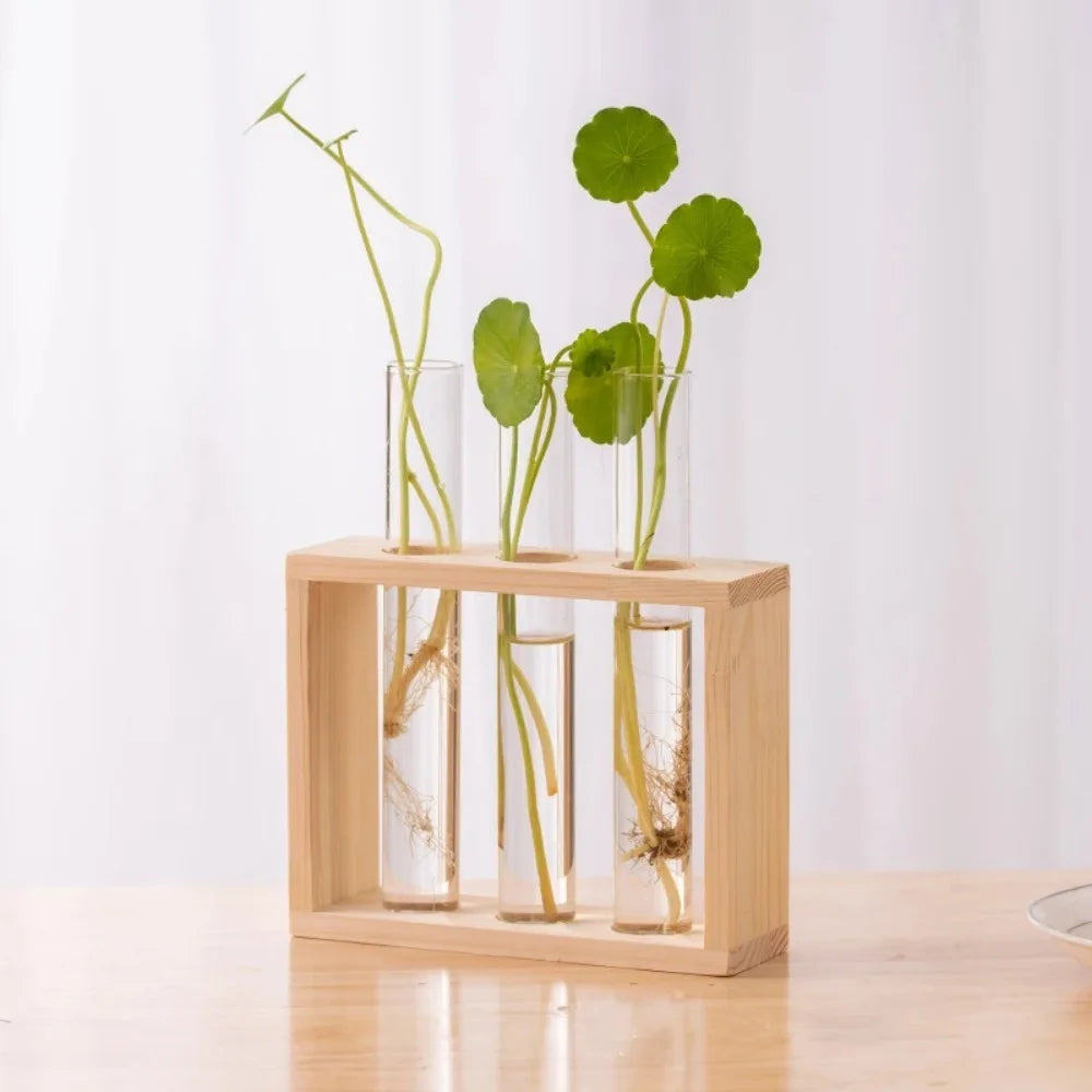 Three-tube wooden glass propagation stand with herb and plant cuttings