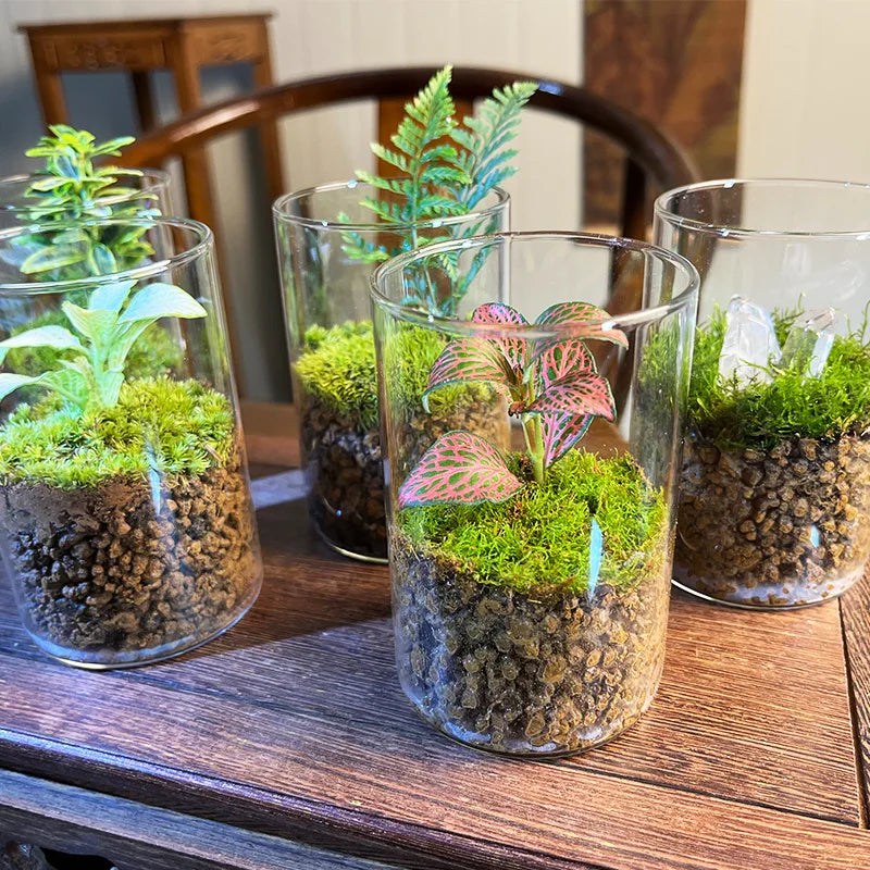 Minimalist glass cylinder vases styled on wooden dining table