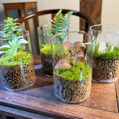 Minimalist glass cylinder vases styled on wooden dining table
