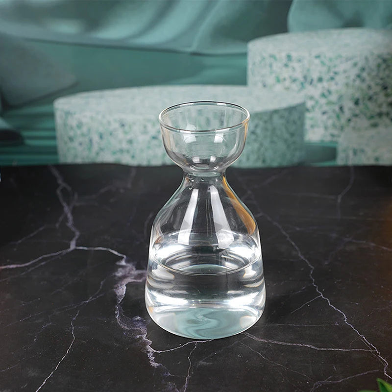 Avocado hydroponic glass vase kit with seed and water