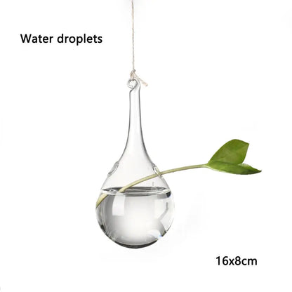 Ceiling cluster of five hanging glass ball vases in mixed shapes together
