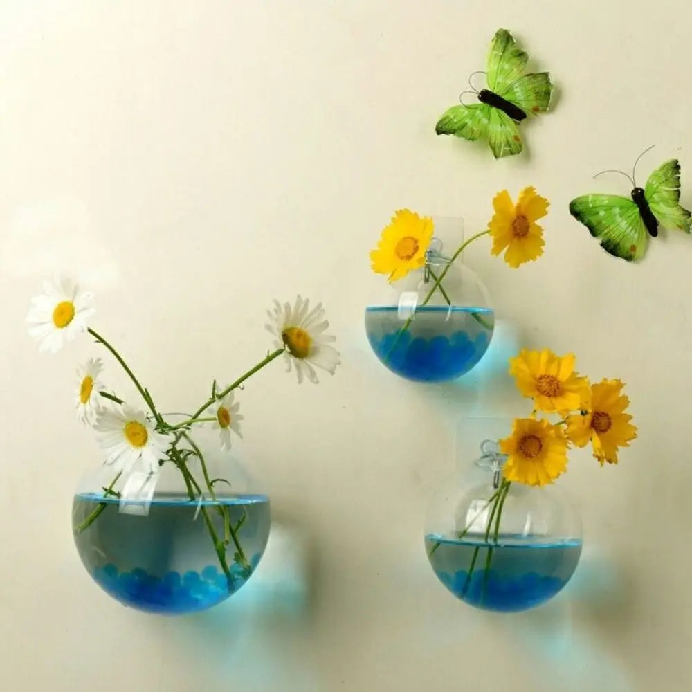 Large 15cm round glass wall hanging planter with plant inside