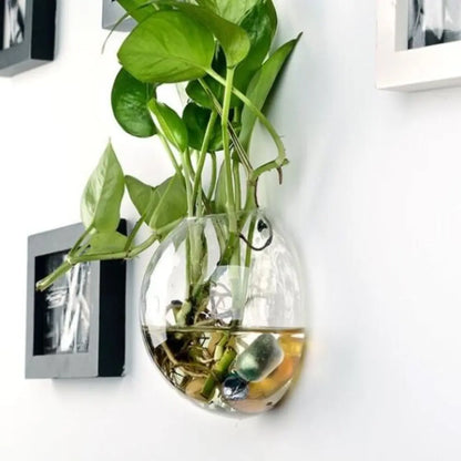 Close-up of clear glass sphere and hanging cord on wall planter