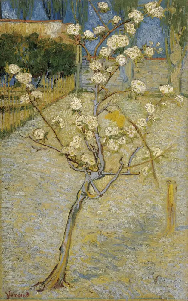 Van Gogh Cafe Terrace Framed Canvas Wall Art