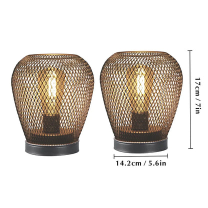Diamond metal cage lamp close-up showing LED bulb inside cage body