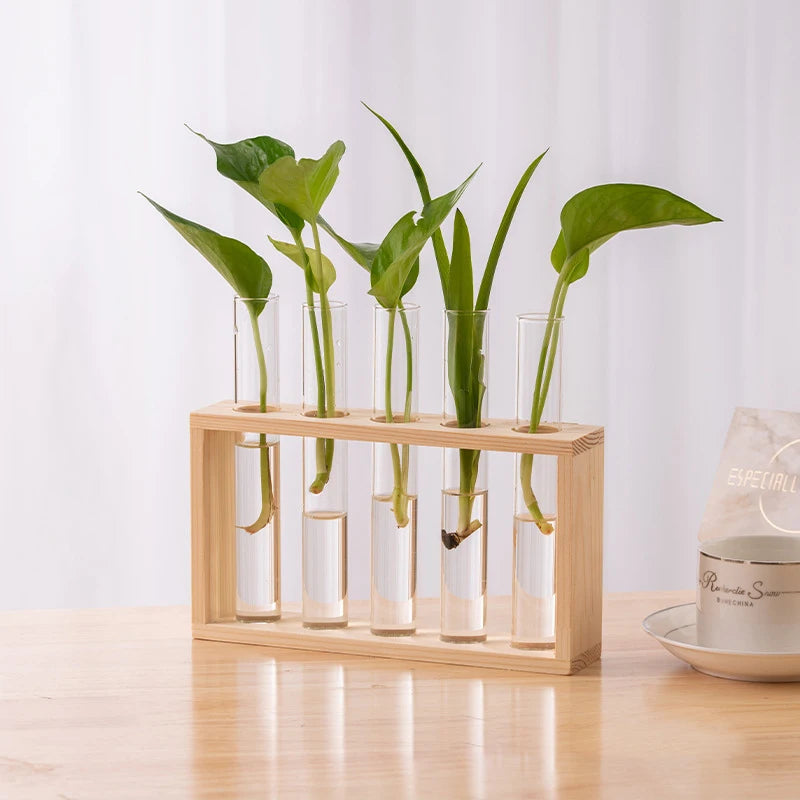 Style C wood frame glass tube planter displayed on kitchen counter