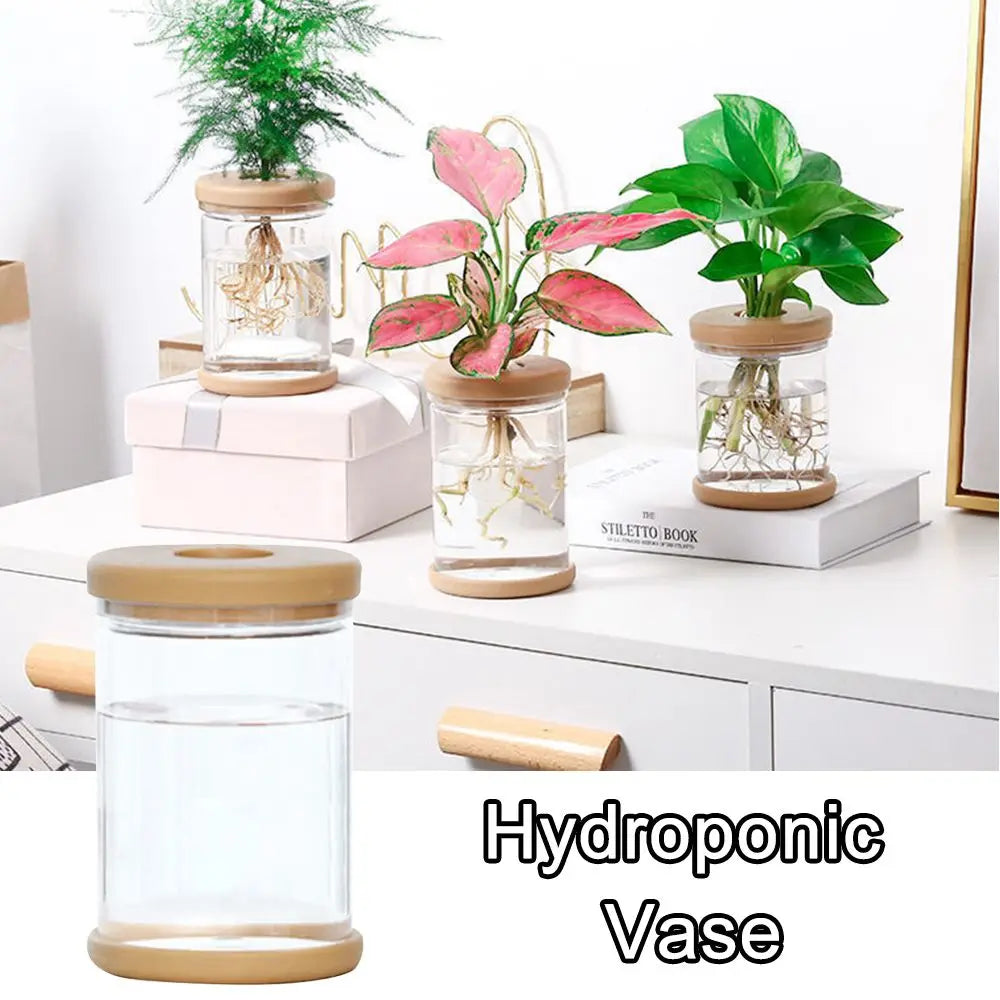 Clear plastic flower vase with hydroponic plant cutting on minimalist shelf