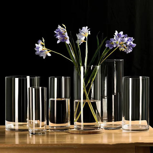 Transparent glass cylinder vase for hydroponic plants on minimalist desktop