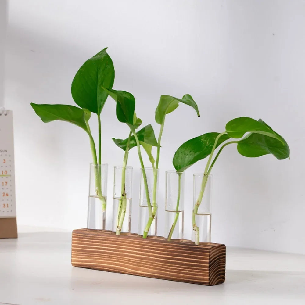 Glass tube propagation planter with three tubes and pothos and mint cuttings