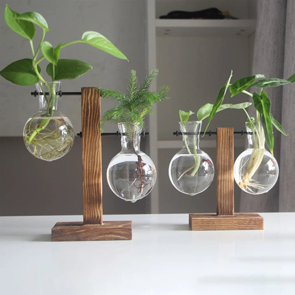 Size B glass bulb terrarium 19.5x11.5cm on contemporary home shelf