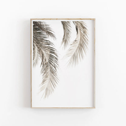 Nordic Minimalist Botanical Eucalyptus Canvas Wall Art
