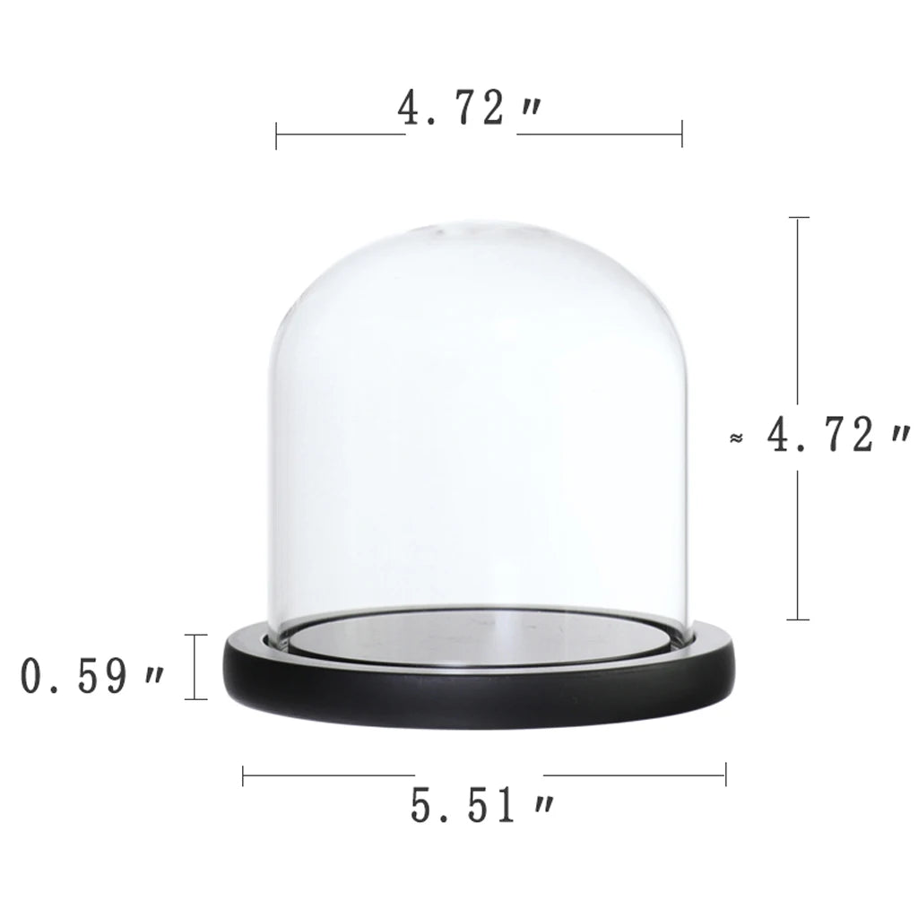 Clear Glass Dome Cloche Vase