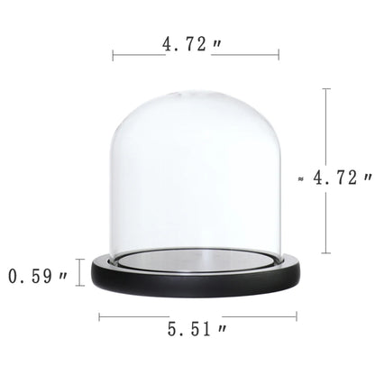 Clear Glass Dome Cloche Vase