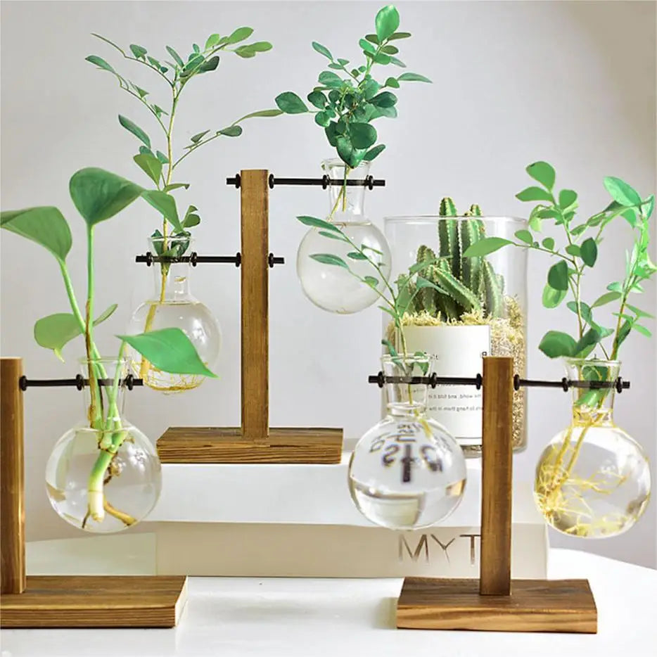 Size A glass bulb terrarium 13.5x11.5cm with plant cutting inside
