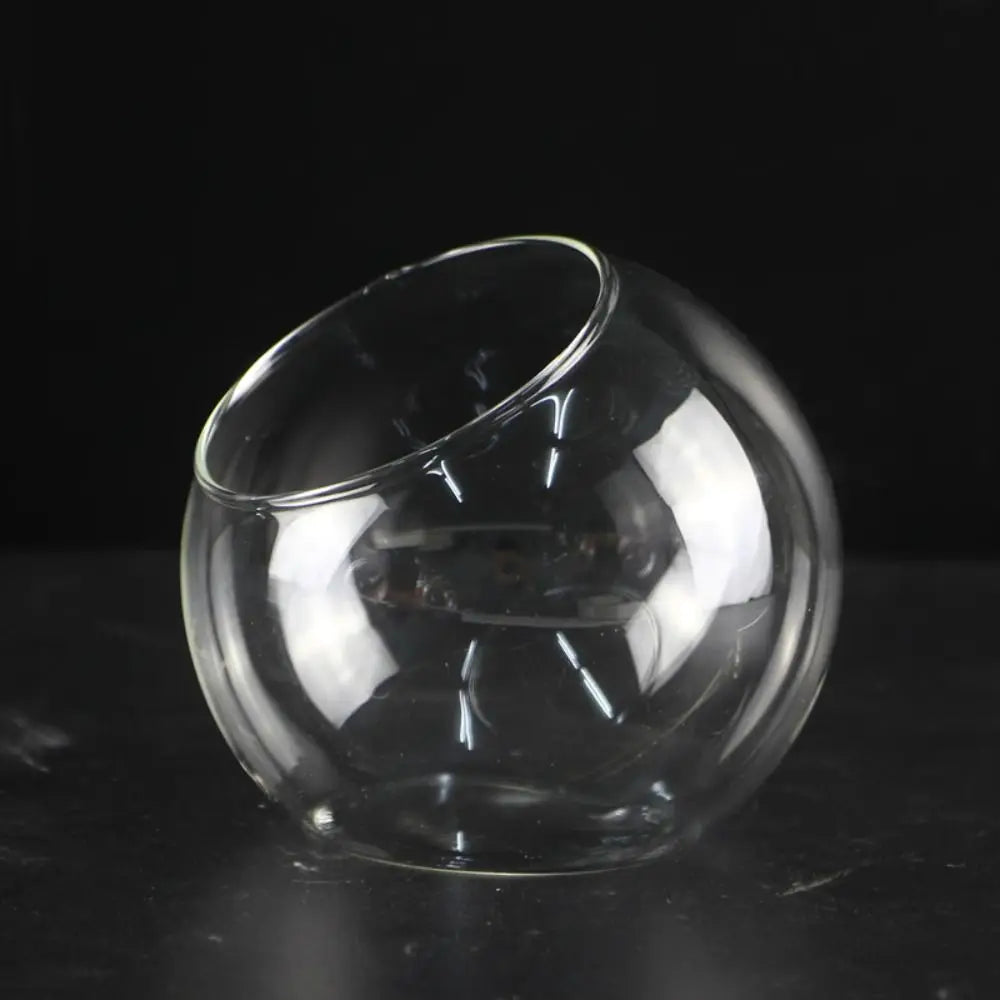 Clear glass sphere vase for succulent terrarium indoor use