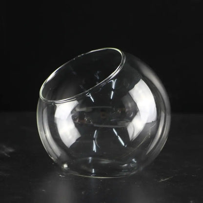 Clear glass sphere vase for succulent terrarium indoor use