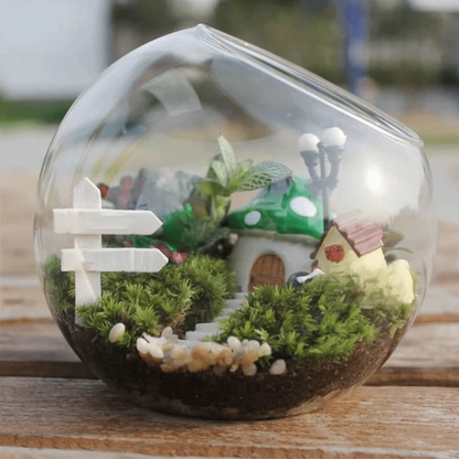 Clear glass ball succulent container on wooden windowsill