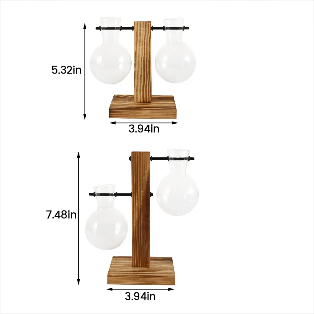 Two size variants of glass bulb terrarium on wooden stand together