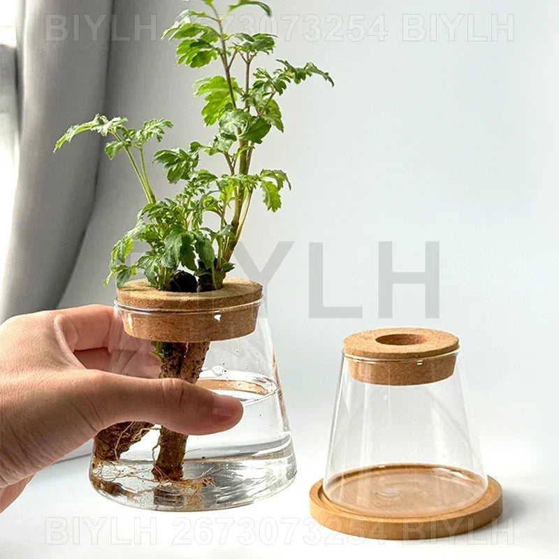 Nordic volcanic glass vase hydroponic tabletop plant arrangement
