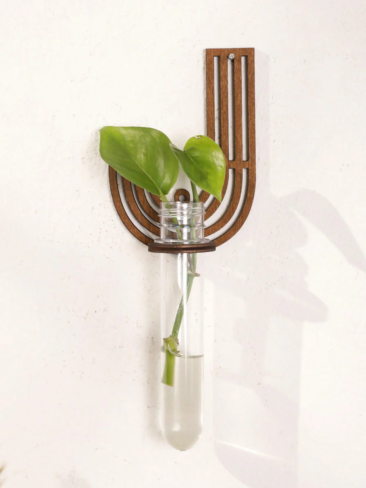 Wooden letter propagation frame side view showing depth and tube arrangement
