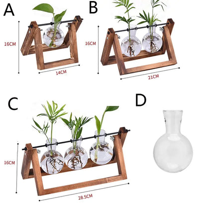 Wooden frame glass terrarium with live plant cuttings growing in water