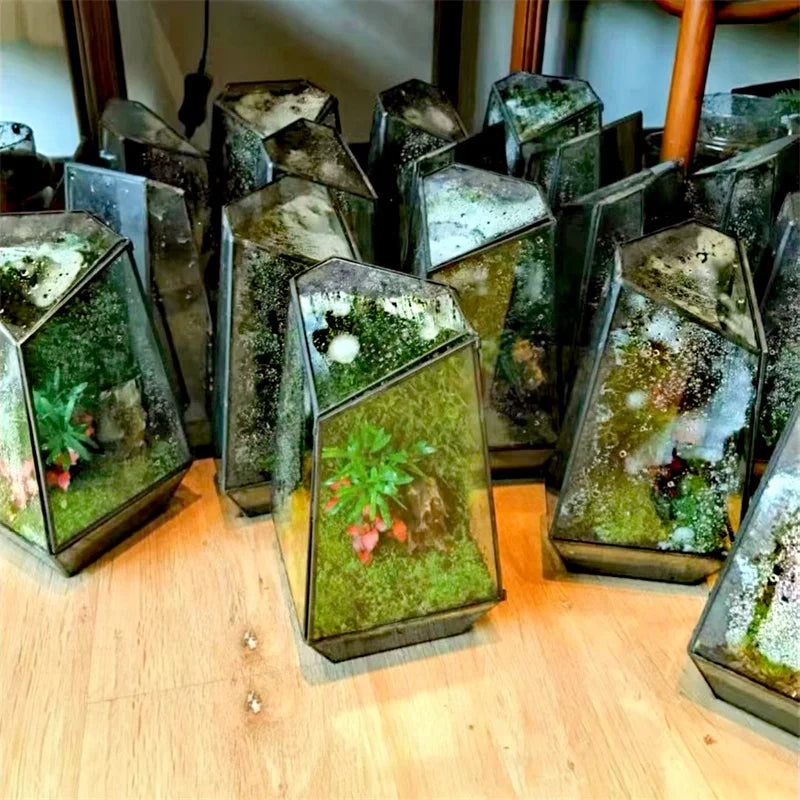 Side profile of quartz glass terrarium showing irregular geometric faceted sculptural form