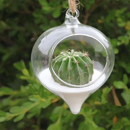 Clear glass ball hanging planter on a rope with small succulent inside