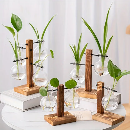 Amber vintage-style glass hydroponic planter for growing plants in water