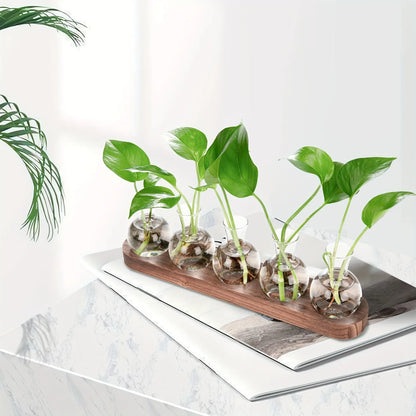 Style B glass terrarium on wooden tray as compact indoor propagation station