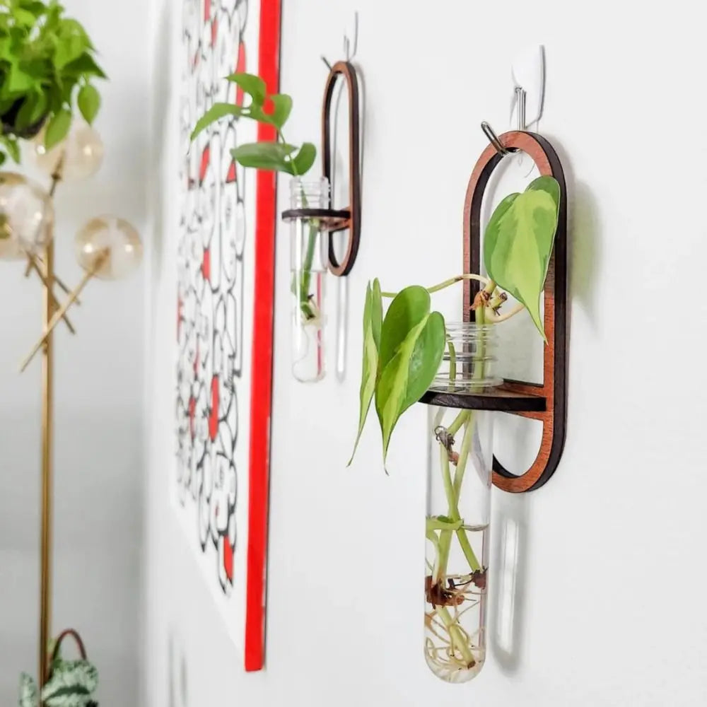 Natural wood plant shelf with hydroponic vase arrangement
