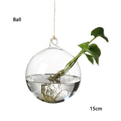 Water droplet hanging glass vase with trailing succulent in sunny plant corner