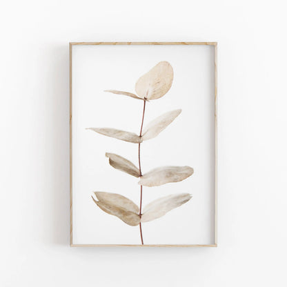 Nordic Minimalist Botanical Eucalyptus Canvas Wall Art