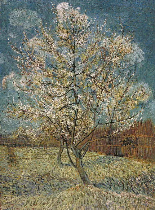 Van Gogh Cafe Terrace Framed Canvas Wall Art