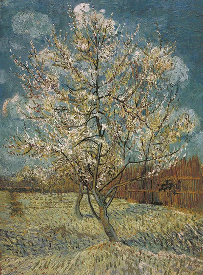 Van Gogh Cafe Terrace Framed Canvas Wall Art