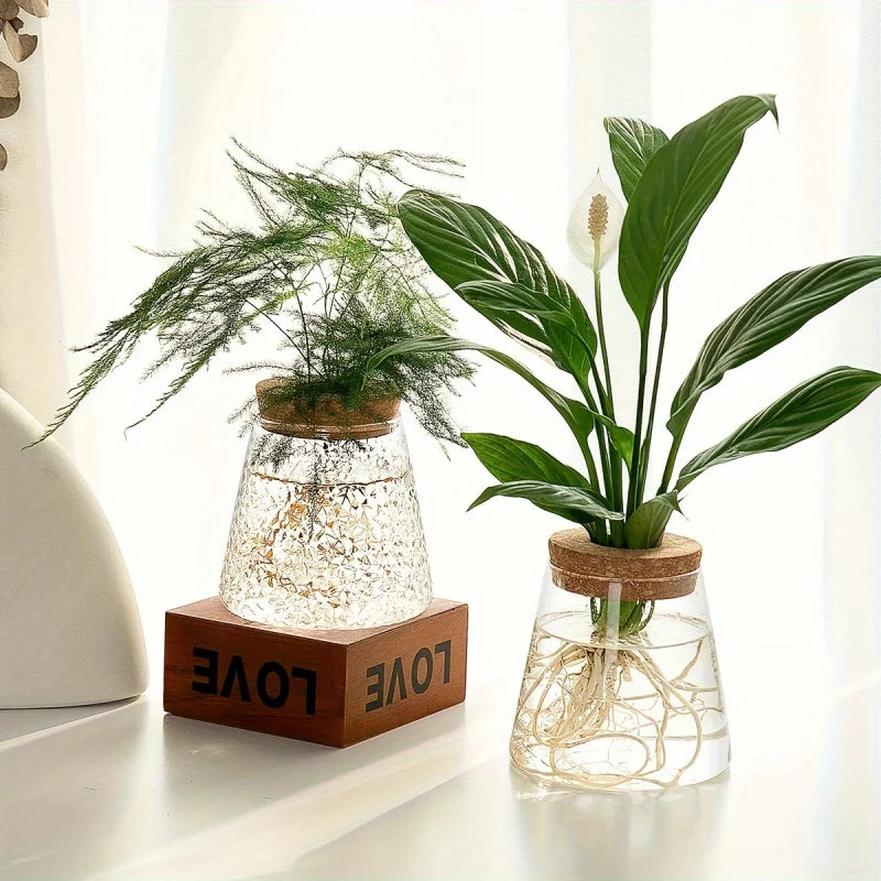 Transparent glass cutting station with fresh green plant stems rooting in water