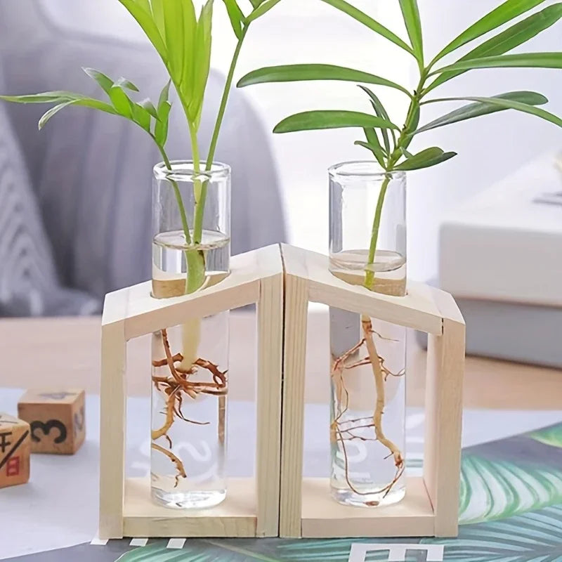 Test tube glass hydroponic vase wooden stand desktop terrarium