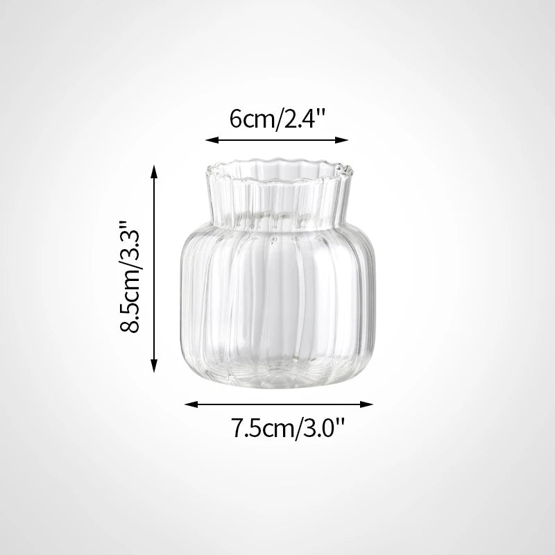 Minimalist Clear Glass Flower Vase
