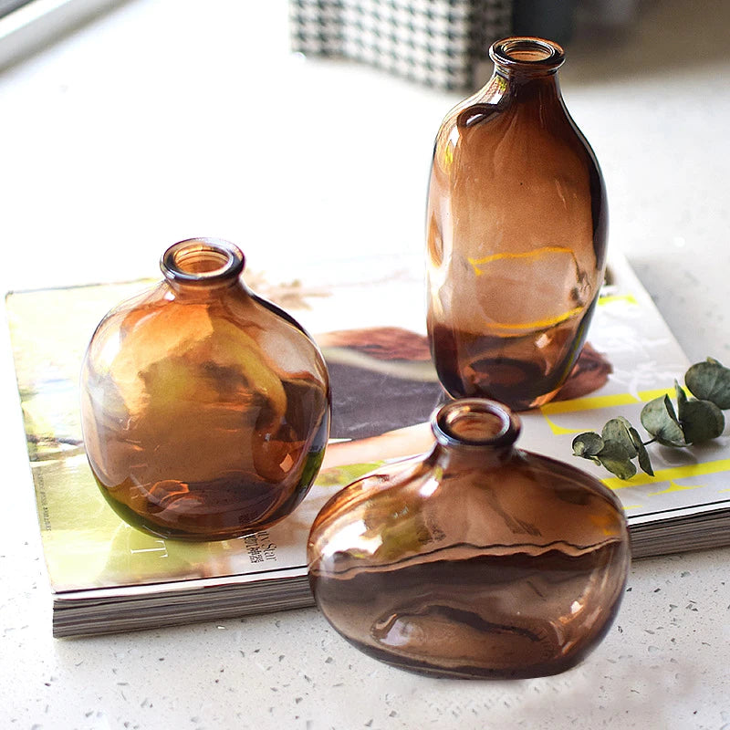 Vintage brown glass bottle vase hydroponic display on shelf