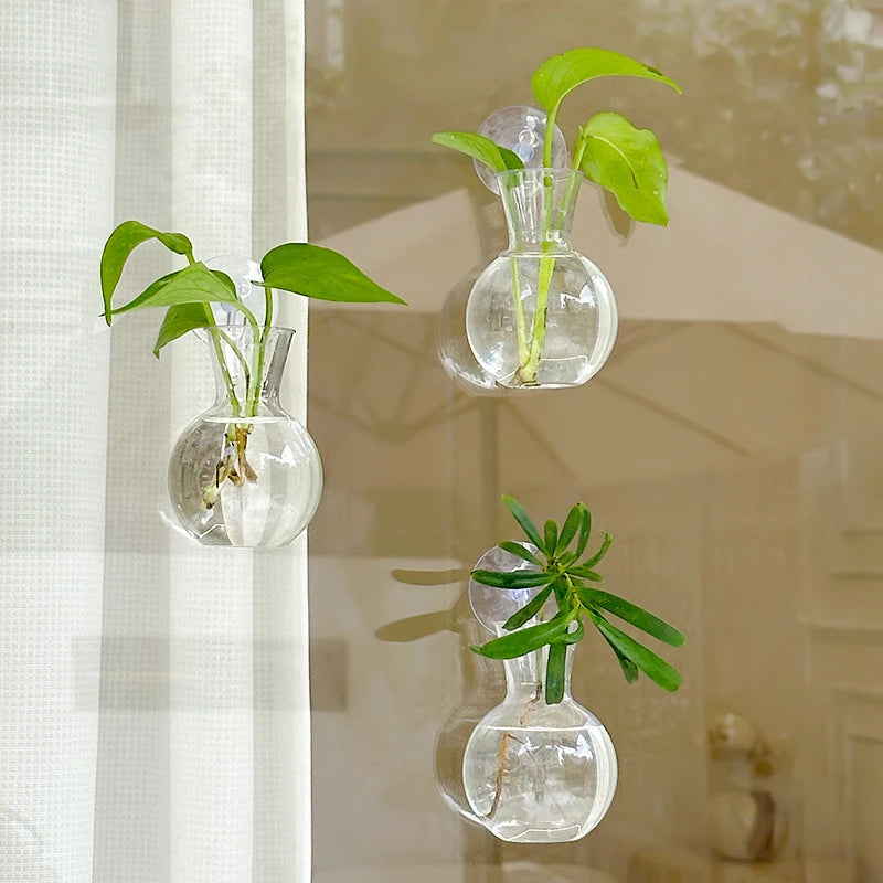 Suction cup glass gourd vase hanging hydroponic window planter
