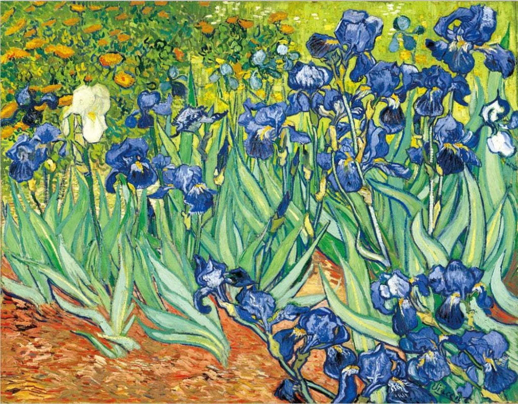 Van Gogh Cafe Terrace Framed Canvas Wall Art