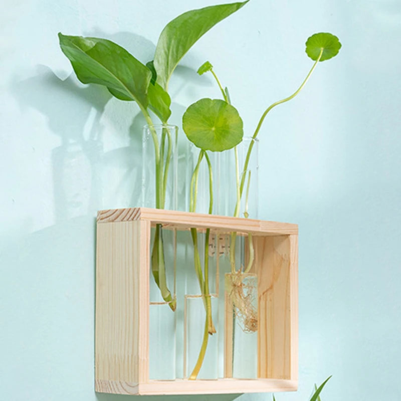 Style B wooden hydroponic test tube vase with multiple herb cuttings
