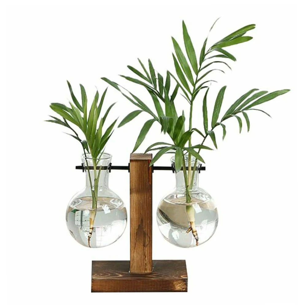 Glass bulb terrarium with growing plant on natural wood office shelf