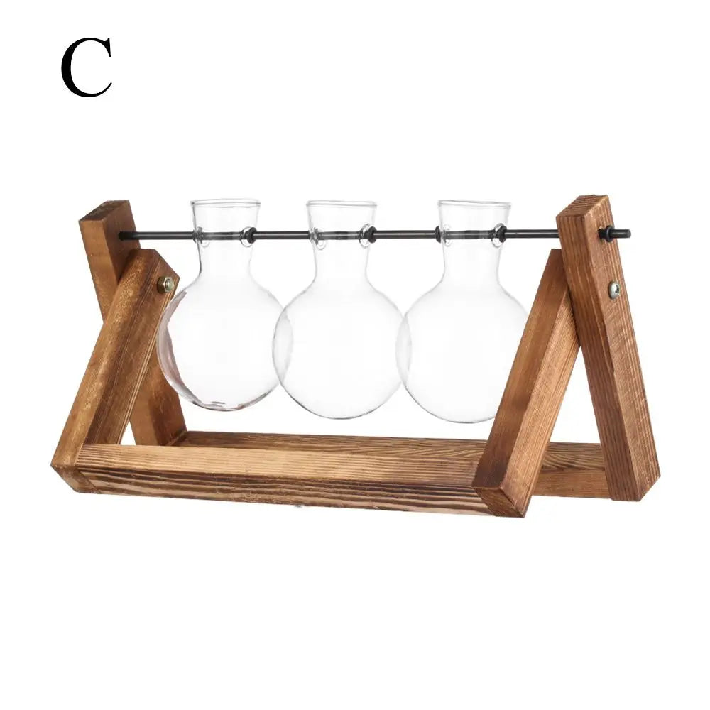 Wooden frame glass terrarium collection showing style variants B, C, and D