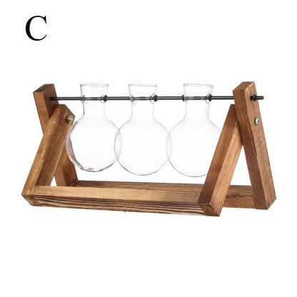 Wooden frame glass terrarium collection showing style variants B, C, and D