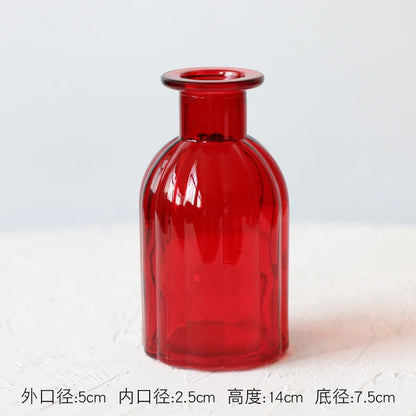 Colored Glass Terrarium Flower Vase