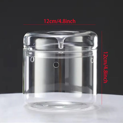 Glass terrarium with lid for bonsai micro landscape on contemporary shelf